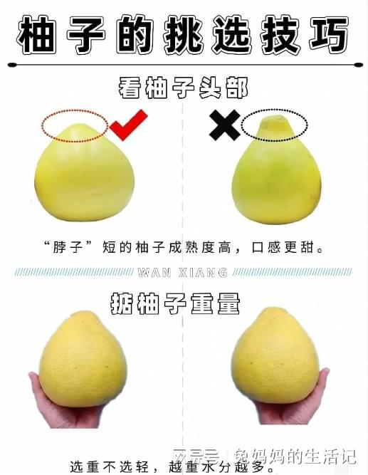 承配件制造 第448页