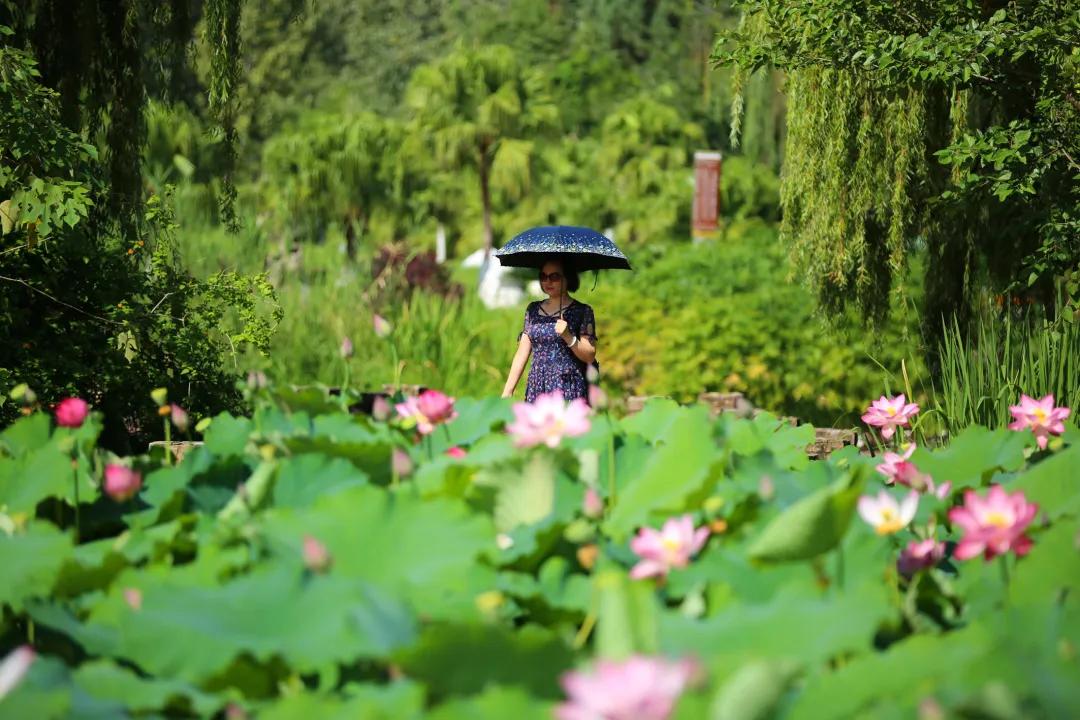 中通快递带你开启自然探索之旅，宁静与平和的心灵之旅