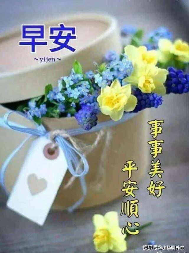 世界最新疫情与美疫情动态下的温馨生活观察