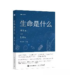 宫雨泽最新章节深度探讨