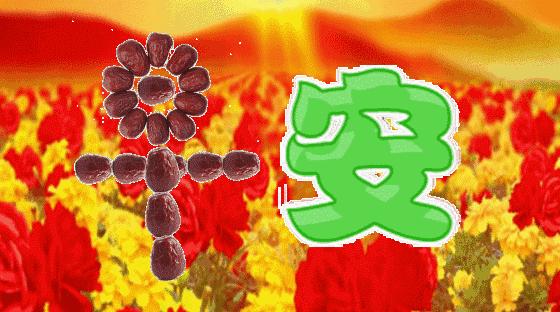 最新创意视频制作，探索自然美景，寻找内心平和之旅