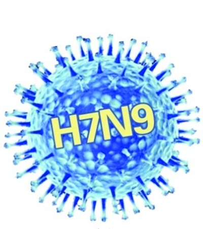 关于H7N9的最新新闻报道