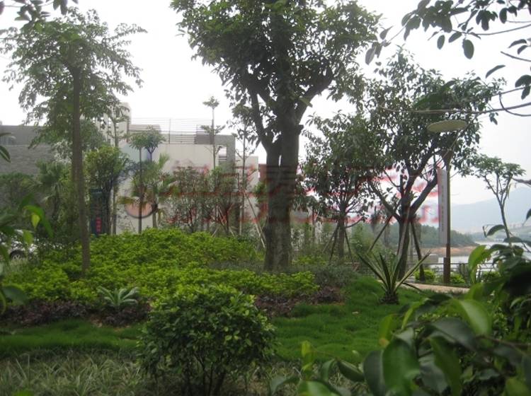 勤天一品树院最新出租，自然美景的轻松探索之旅