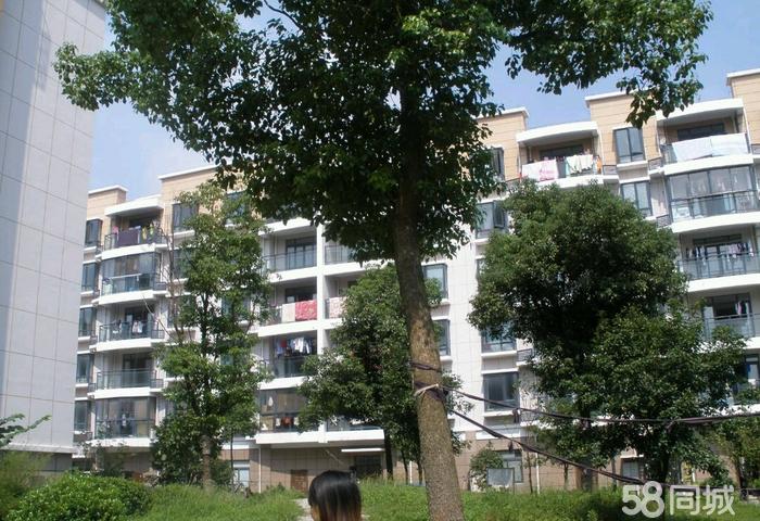 昆山浦园二手房最新价格探析，市场走势与个人立场分析