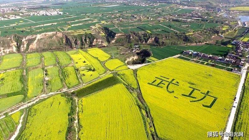 武功镇旅游开发最新进展报告发布！✨