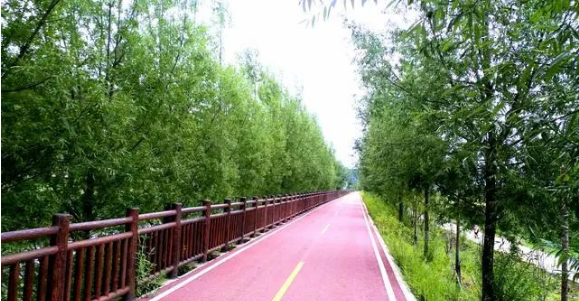昭大一级公路最新动态，启程探索自然美景的旅行之路