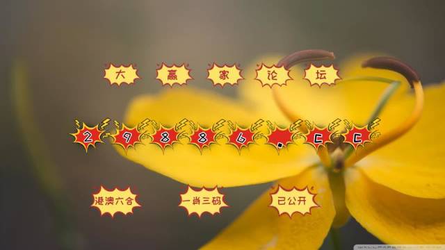 4949澳门今晚上开奖,全方位数据解析表述_持久版95.111