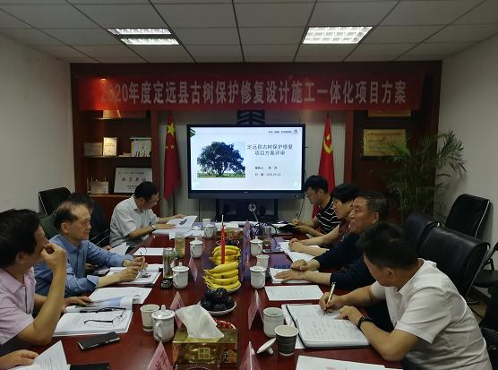 定远县公安局，与自然和谐共舞，探寻内心宁静之旅