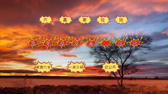 7777788888新版跑狗图解析,策略调整改进_效率版95.687