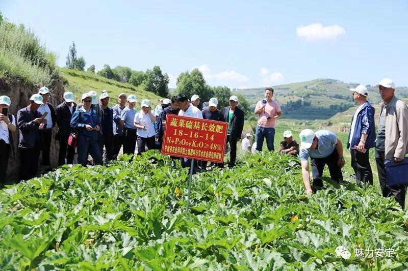 甘肃省供销社最新动态，全面理解与参与指南
