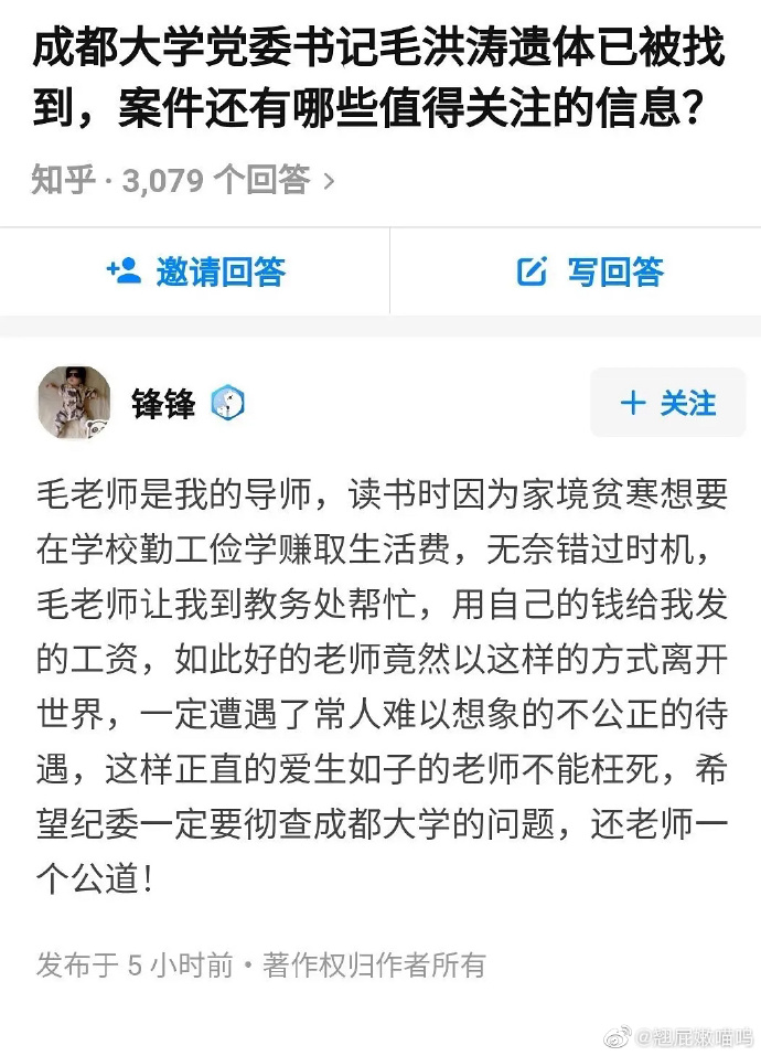 毛洪涛最新动态，日常趣事与温馨消息揭秘