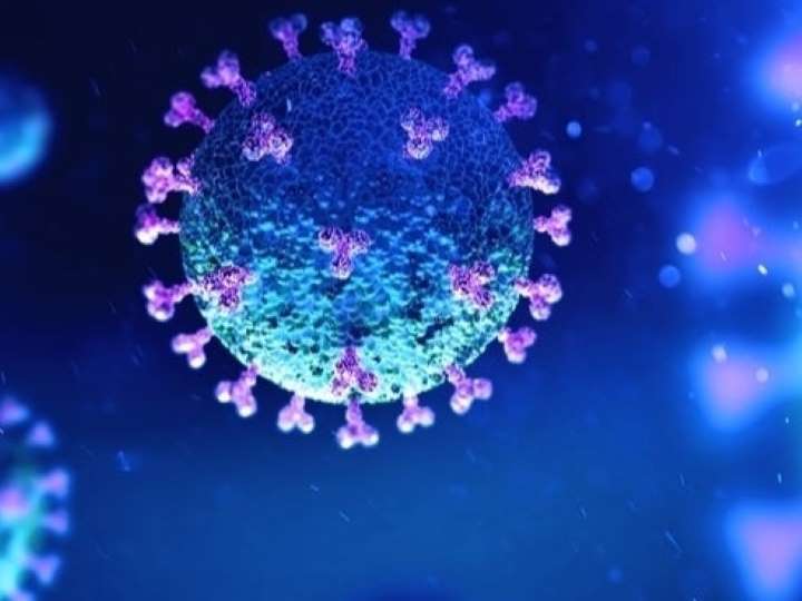 新莞病毒最新动态更新