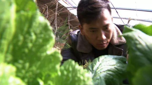 最新手机回收口子，一场自然美景的探险之旅