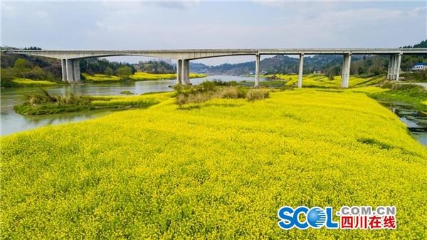 资阳雁江最新动态，自然美景探索之旅，寻觅内心平和与宁静