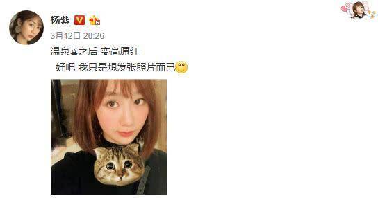 科技重塑生活，粉象生活最新版下载引领未来潮流