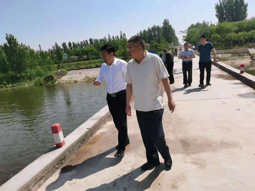 孟晚丹最新动态，技能提升与任务完成指南