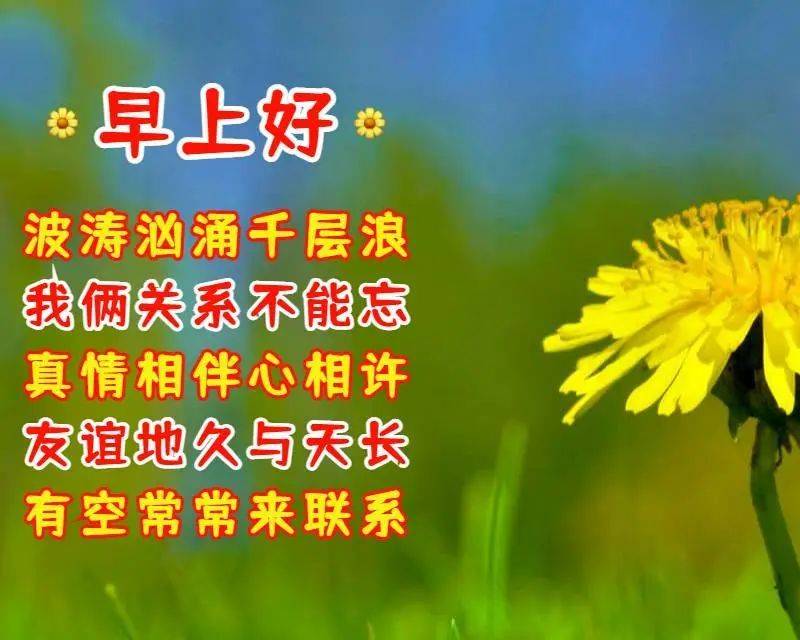 每日最新早上好图片，学习、变化与自信的晨间鼓舞启航新一天