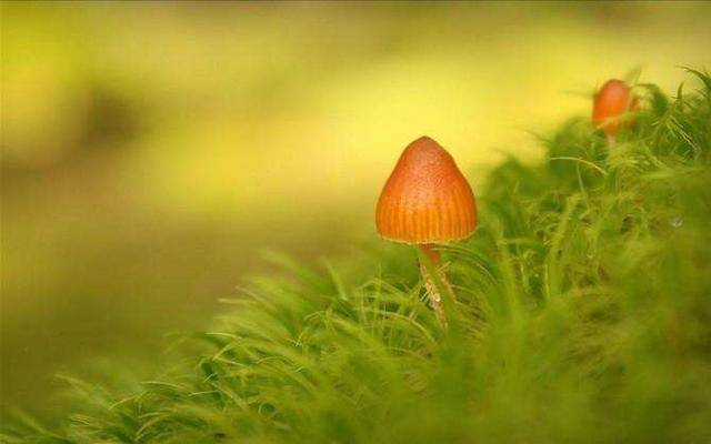 揭秘王财贵的成功之路，最新消息与未来展望