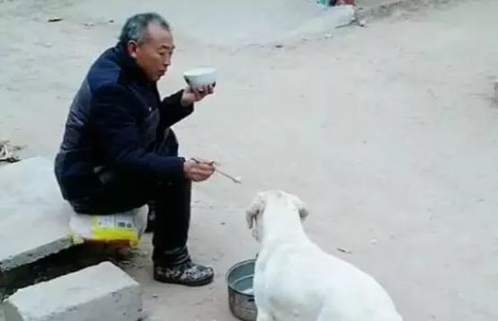 成都大学王最新动态，日常趣事与爱之陪伴的温馨时光