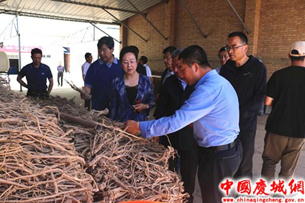 羊塬村最新动态，发展与保护的平衡之路