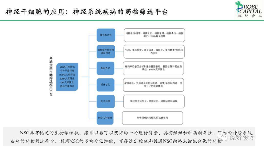 干细胞最新版的观点论述解析