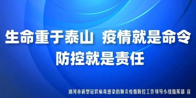 辽宁最新病毒疫情动态，变化中的力量与学习带来的自信与成就感