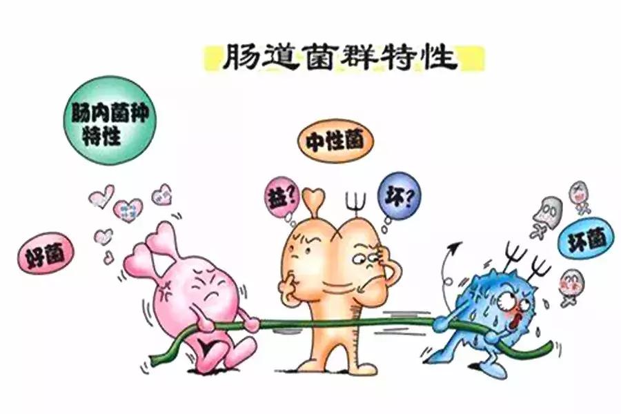 最新非抗菌药探讨，一种观点的阐述