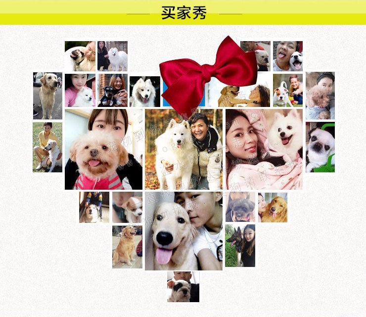 7777788888精准狗狗,实地数据验证_定制版57.794
