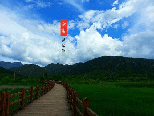 严牌最新动态，自然美景的探索之旅