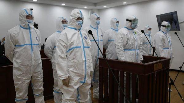 大连最新疫情报道详解，观点阐述与深度分析