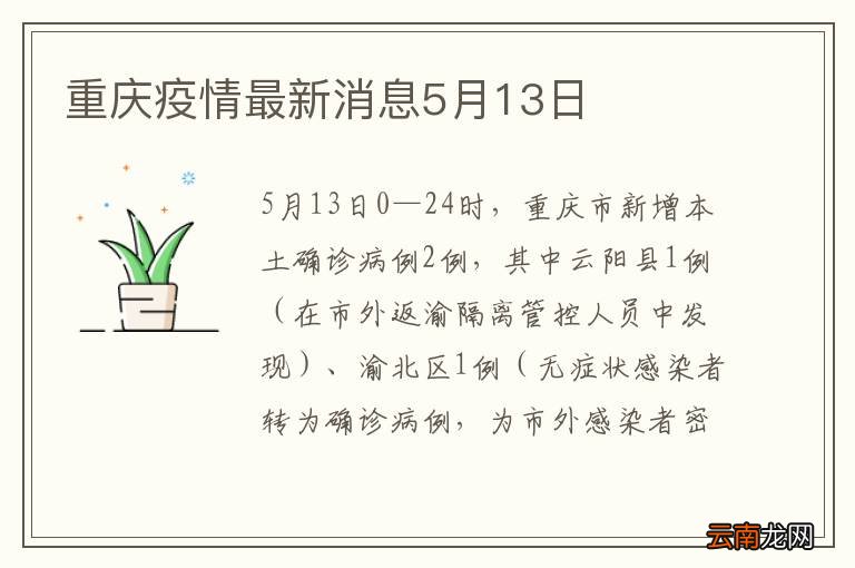 重庆市最新疫情概述及动态更新