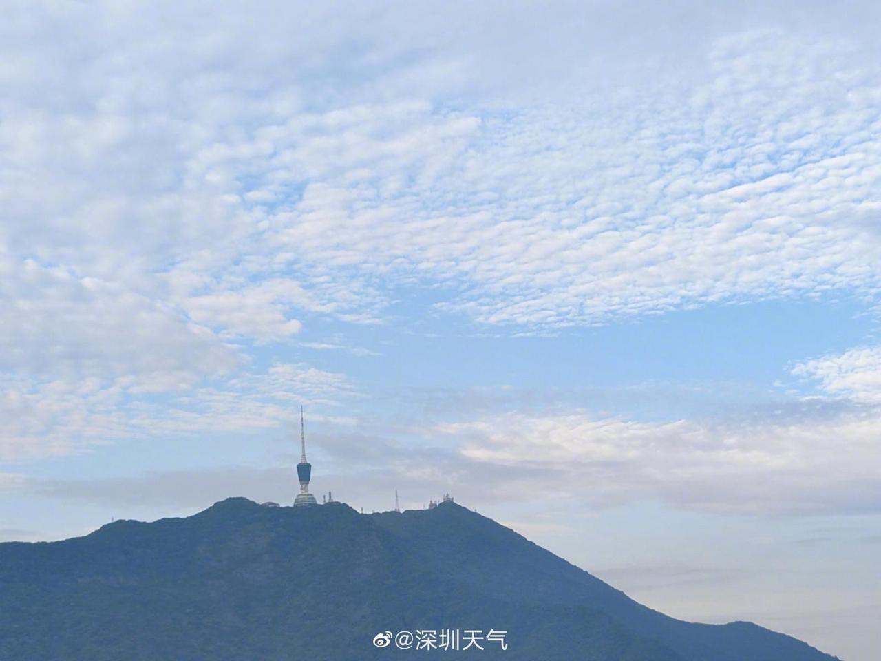 深圳停课最新通告及步骤指南