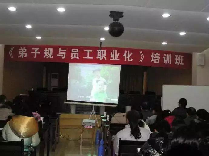 易经最新动态，全面指南与步骤详解