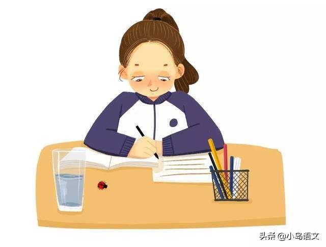 山东最新开学安排，多元视角下的审视与探讨