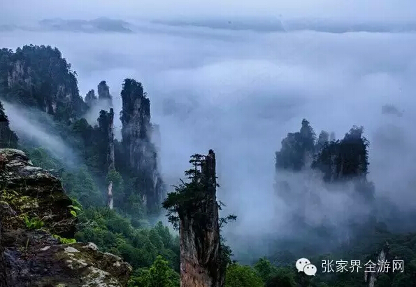 张家界旅游最新探索，自然美景之旅，寻觅心灵平和之地