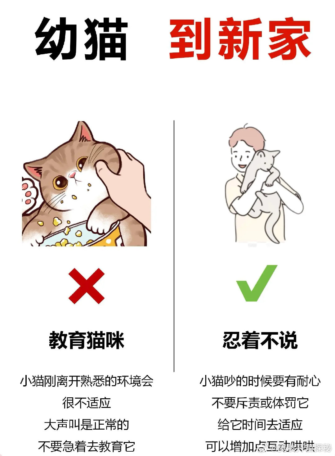 第539页