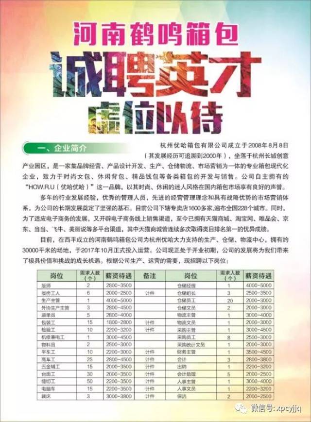 西平最新招聘信息全面解析