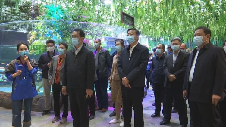 南海最新新闻，探索自然美景之旅，寻找内心宁静与平和