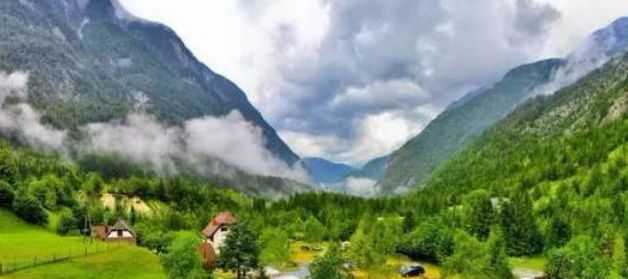 白芨最新价格,白芨最新价格，一场自然美景的探险之旅