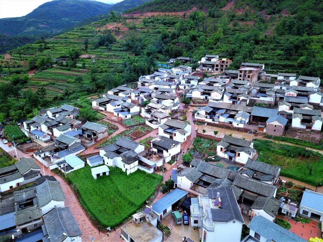 李宁女鞋最新款，自然之旅的时尚之选，探寻内心宁静的时尚步伐