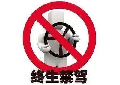 海南最新司机招聘信息及小巷深处的独特风味探索