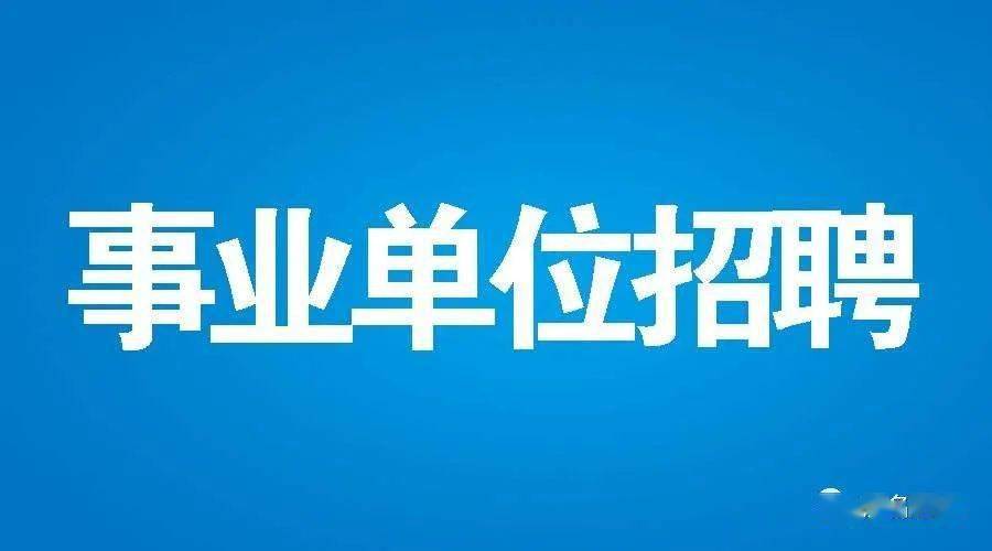 化州最新招聘信息汇总，观点论述与职位推荐