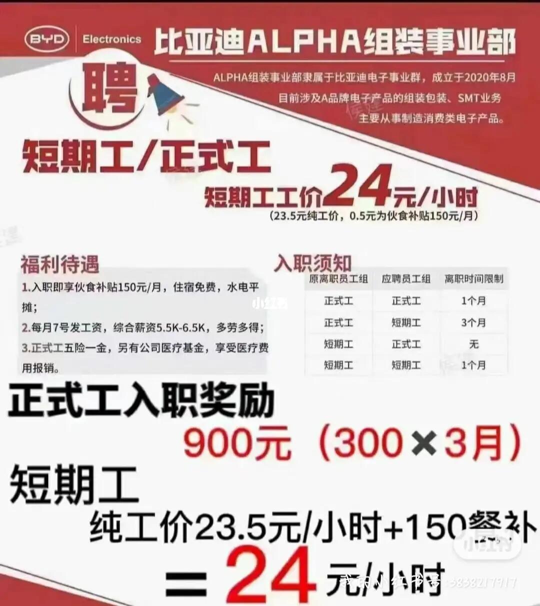 比亚迪最新招工，工厂里的温馨故事与人才汇聚的大家庭