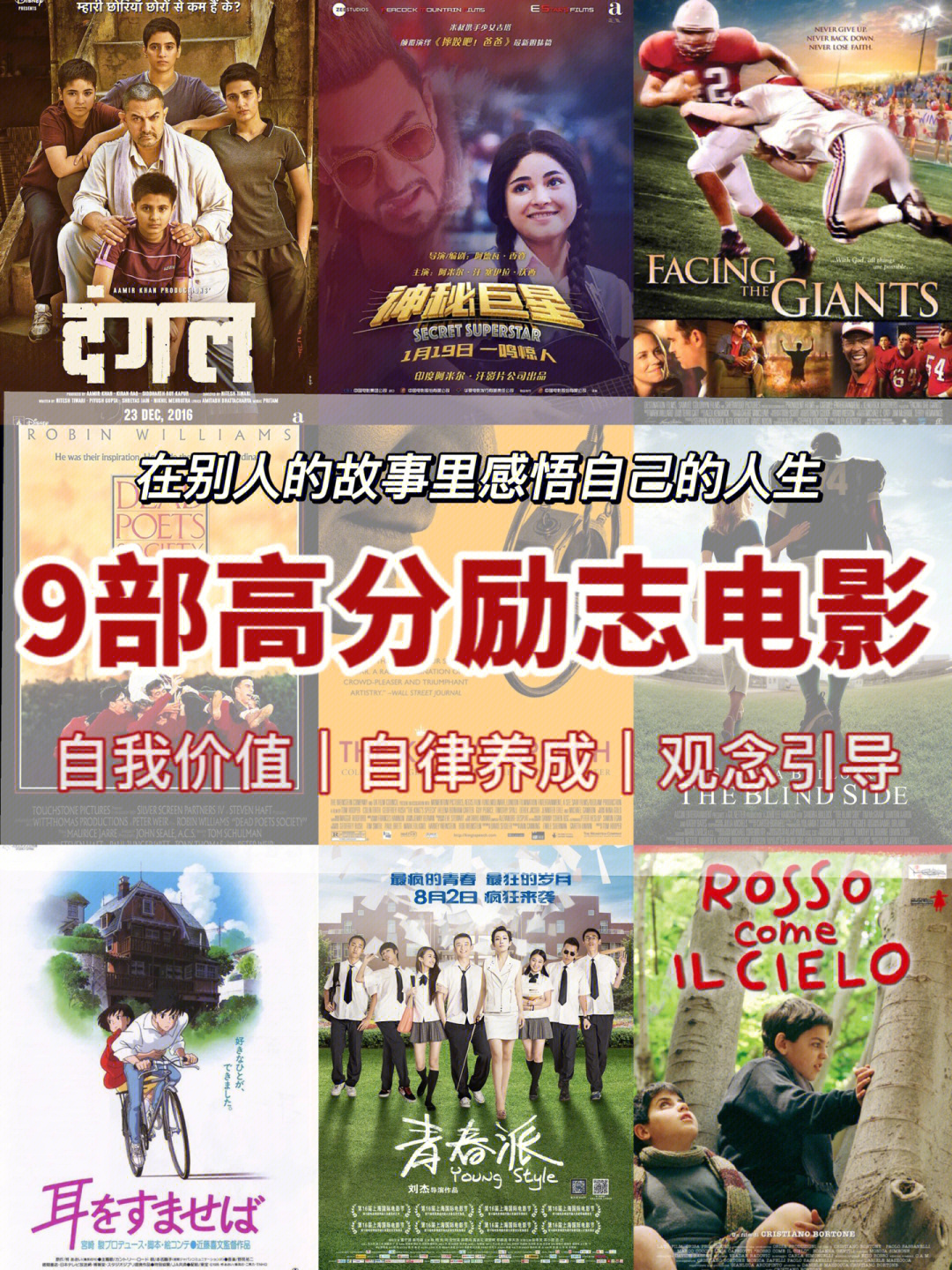 石油机械设备 第11页