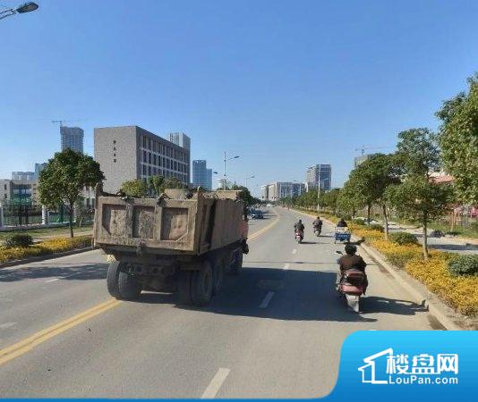 舟山房产最新资讯，探索巷弄特色小店，揭秘未知房产魅力